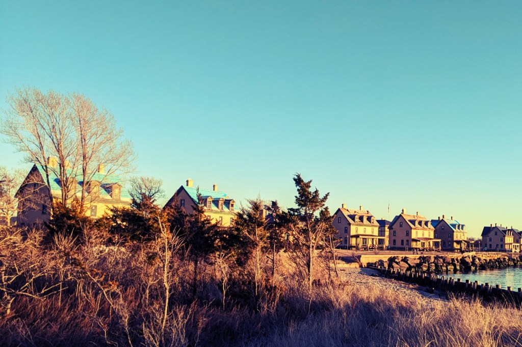 houses near the water